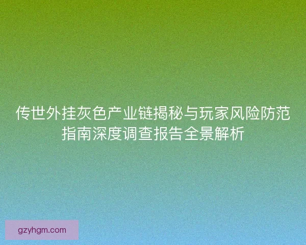 传世外挂灰色产业链揭秘与玩家风险防范指南深度调查报告全景解析